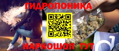 шишки Нарткала