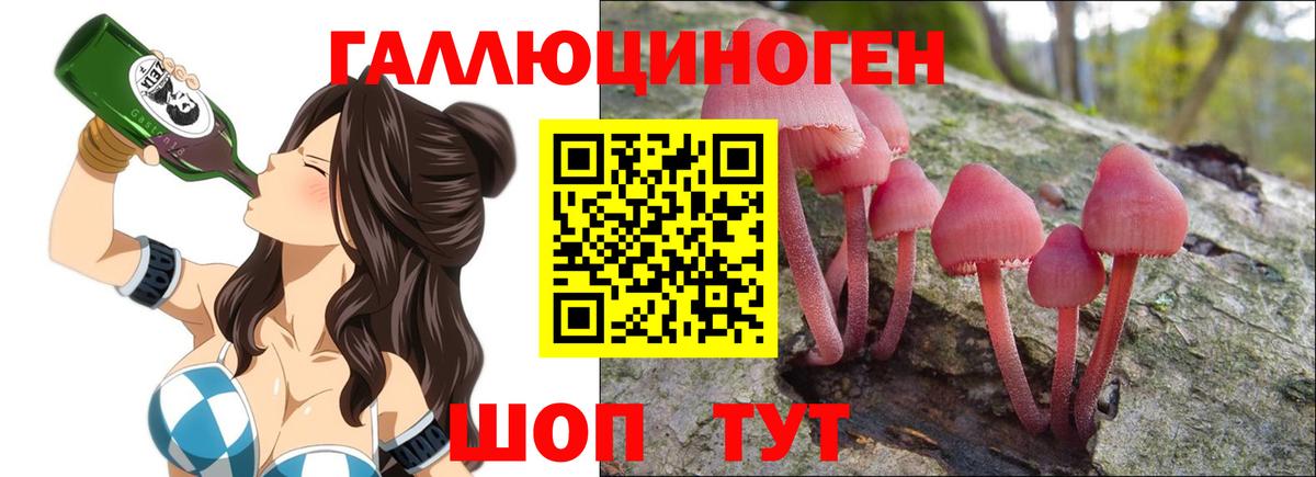 Галлюциногенные грибы Psilocybe Чапаевск