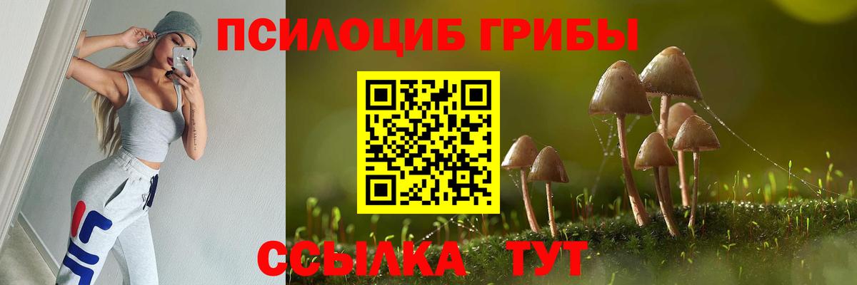 Псилоцибиновые грибы MAGIC MUSHROOMS  Вход с VPN  Псилоцибиновые грибы Psilocybe  Чапаевск 